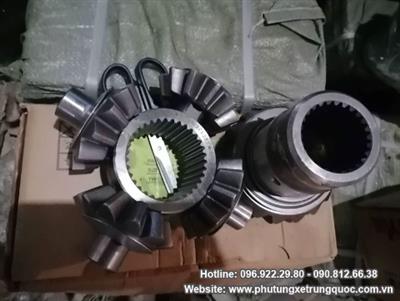 Ruột vi sai đầu con lợn (cầu man)