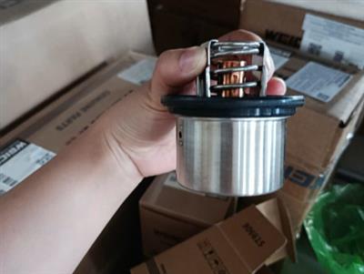 Van  hàng nhiệt Faw 430